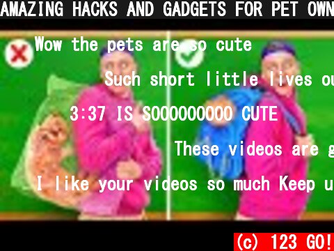 AMAZING HACKS AND GADGETS FOR PET OWNERS || Cool Pet Hacks and DIY ideas! Funny Tips by 123 GO!  (c) 123 GO!