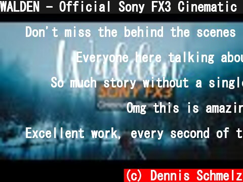 WALDEN - Official Sony FX3 Cinematic Short Film  (c) Dennis Schmelz