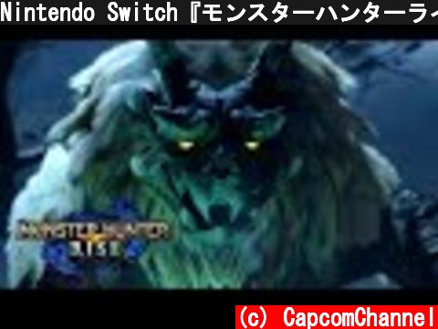 Nintendo Switch『モンスターハンターライズ』プロモーション映像3  (c) CapcomChannel