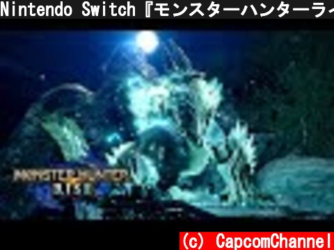Nintendo Switch『モンスターハンターライズ』プロモーション映像5  (c) CapcomChannel