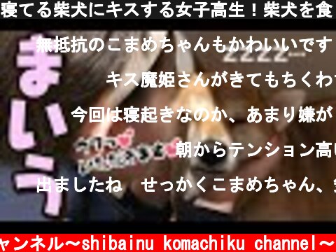 寝てる柴犬にキスする女子高生！柴犬を食う女子高生。  (c) 柴犬こまちくチャンネル〜shibainu komachiku channel〜
