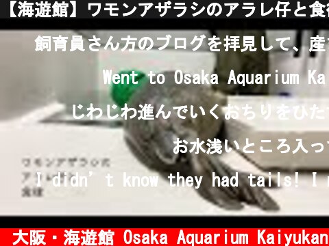 【海遊館】ワモンアザラシのアラレ仔と食後（2021.06.03）  (c) 大阪・海遊館 Osaka Aquarium Kaiyukan