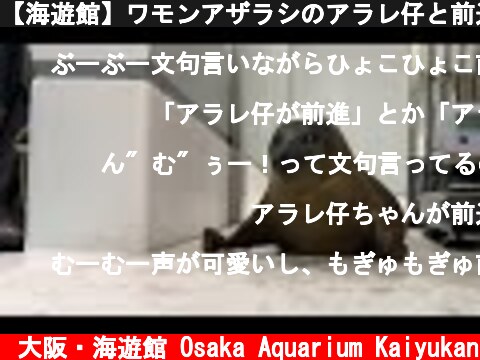 【海遊館】ワモンアザラシのアラレ仔と前進（2021.07.01）  (c) 大阪・海遊館 Osaka Aquarium Kaiyukan