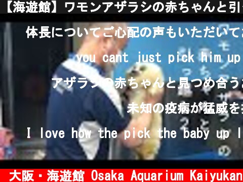 【海遊館】ワモンアザラシの赤ちゃんと引っ越し②（2021.5.6）  (c) 大阪・海遊館 Osaka Aquarium Kaiyukan