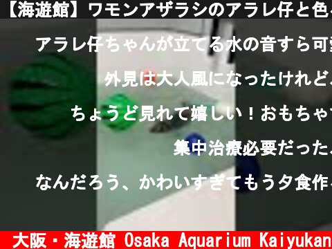 【海遊館】ワモンアザラシのアラレ仔と色々  (c) 大阪・海遊館 Osaka Aquarium Kaiyukan