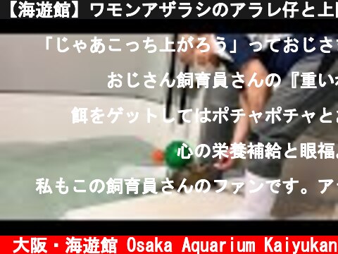 【海遊館】ワモンアザラシのアラレ仔と上陸トレーニング（2021.06.30）  (c) 大阪・海遊館 Osaka Aquarium Kaiyukan