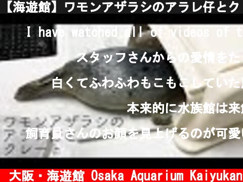 【海遊館】ワモンアザラシのアラレ仔とクレート（2021.05.31）  (c) 大阪・海遊館 Osaka Aquarium Kaiyukan