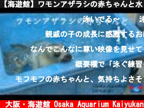 【海遊館】ワモンアザラシの赤ちゃんと水（2021.4.30）  (c) 大阪・海遊館 Osaka Aquarium Kaiyukan