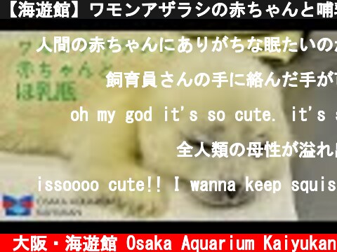 【海遊館】ワモンアザラシの赤ちゃんと哺乳瓶（2021.4.8）  (c) 大阪・海遊館 Osaka Aquarium Kaiyukan