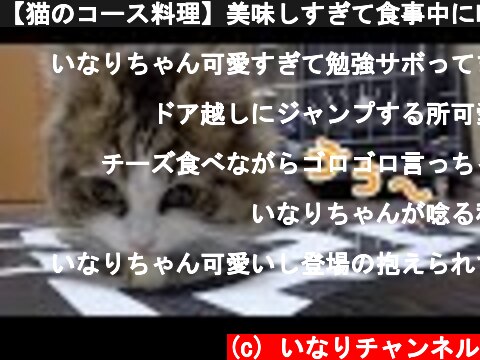 【猫のコース料理】美味しすぎて食事中に唸り声をあげるモフ猫！  (c) いなりチャンネル