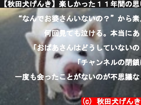 【秋田犬げんき】楽しかった１１年間の思い出【akita dog】  (c) 秋田犬げんき