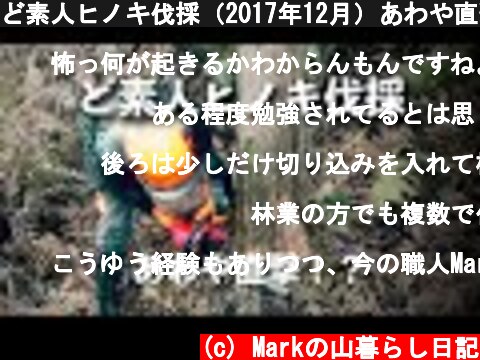 ど素人ヒノキ伐採（2017年12月）あわや直撃！？  (c) Markの山暮らし日記