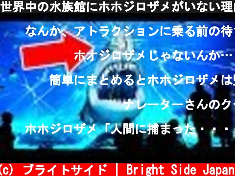 世界中の水族館にホホジロザメがいない理由  (c) ブライトサイド | Bright Side Japan