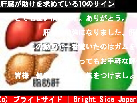 肝臓が助けを求めている10のサイン  (c) ブライトサイド | Bright Side Japan
