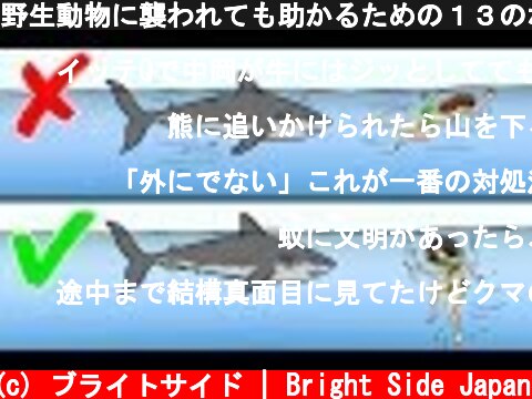 野生動物に襲われても助かるための１３のポイント  (c) ブライトサイド | Bright Side Japan