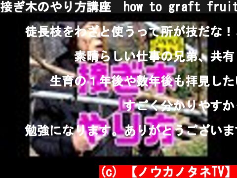 接ぎ木のやり方講座　how to graft fruit trees  (c) 【ノウカノタネTV】