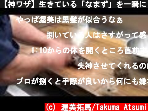 【神ワザ】生きている「なまず」を一瞬にしてさばく！！！  (c) 渥美拓馬/Takuma Atsumi