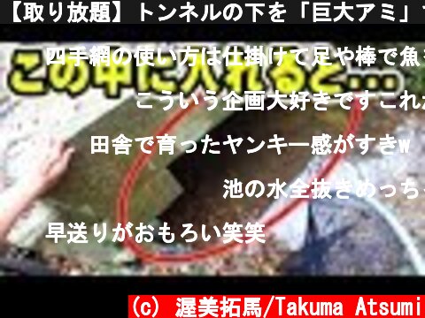 【取り放題】トンネルの下を「巨大アミ」ですくったら珍しい絶品食材が獲れた！！！  (c) 渥美拓馬/Takuma Atsumi