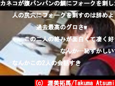 カネコが腹パンパンの鯛にフォークを刺した結果 【閲覧注意】  (c) 渥美拓馬/Takuma Atsumi
