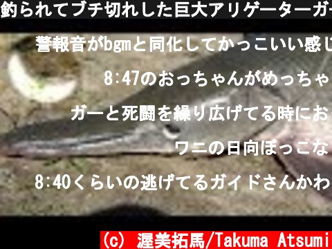 釣られてブチ切れした巨大アリゲーターガーの目玉が・・・  (c) 渥美拓馬/Takuma Atsumi