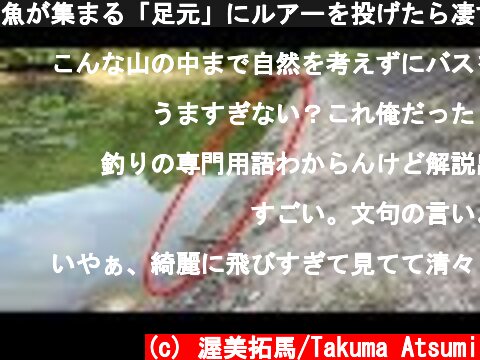 魚が集まる「足元」にルアーを投げたら凄すぎた。  (c) 渥美拓馬/Takuma Atsumi