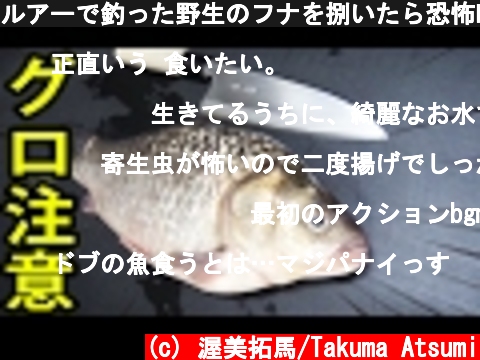 ルアーで釣った野生のフナを捌いたら恐怖映像になった。  (c) 渥美拓馬/Takuma Atsumi
