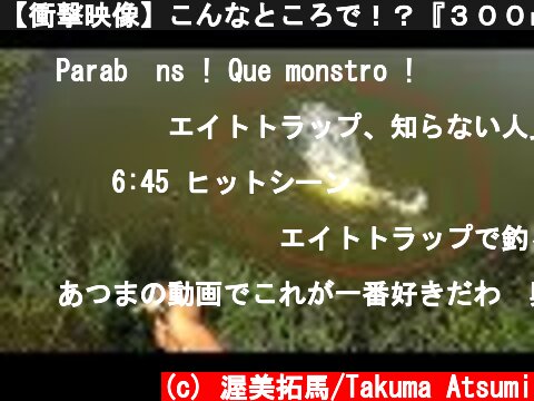 【衝撃映像】こんなところで！？『３００ｍｍの巨大ルアー』に超大物が襲いかかる！！！  (c) 渥美拓馬/Takuma Atsumi