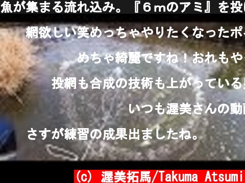 魚が集まる流れ込み。『６ｍのアミ』を投げたらまさかの大物が！！！  (c) 渥美拓馬/Takuma Atsumi