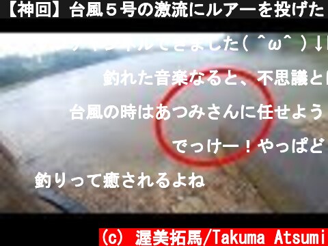 【神回】台風５号の激流にルアーを投げたら予想外の超巨大魚が釣れた！！！  (c) 渥美拓馬/Takuma Atsumi