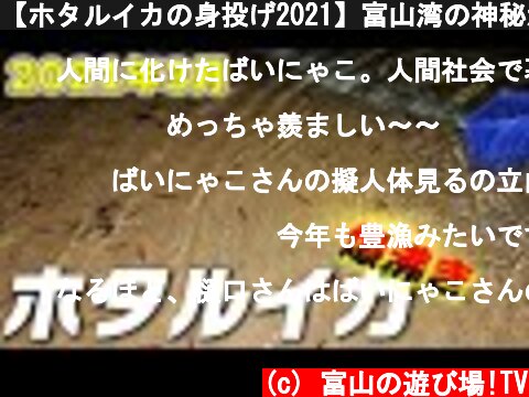 【ホタルイカの身投げ2021】富山湾の神秘が爆沸きしていたw  (c) 富山の遊び場!TV