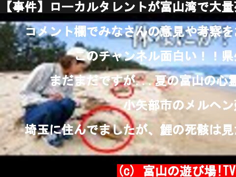 【事件】ローカルタレントが富山湾で大量死していた謎の生物を調べる  (c) 富山の遊び場!TV