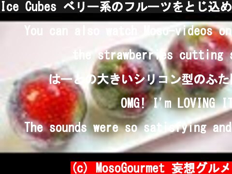 Ice Cubes ベリー系のフルーツをとじ込めた かわいいアイスキューブ Mixed Berries Captured in Cute Ice Cubes  (c) MosoGourmet 妄想グルメ