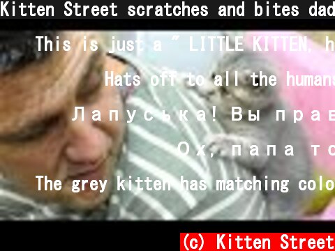 Kitten Street scratches and bites dad  (c) Kitten Street