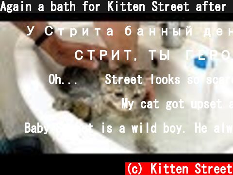 Again a bath for Kitten Street after 6 months  (c) Kitten Street