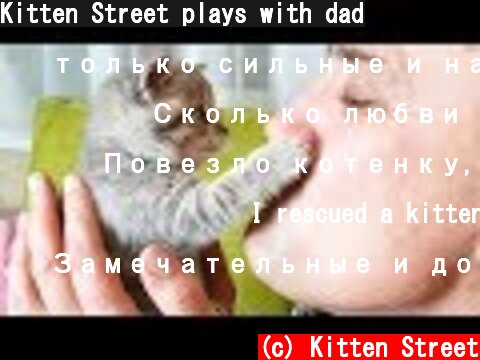 Kitten Street plays with dad  (c) Kitten Street