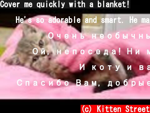 Cover me quickly with a blanket!  (c) Kitten Street