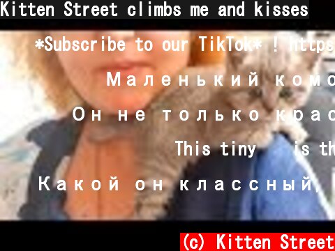 Kitten Street climbs me and kisses  (c) Kitten Street