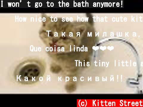 I won’t go to the bath anymore!  (c) Kitten Street