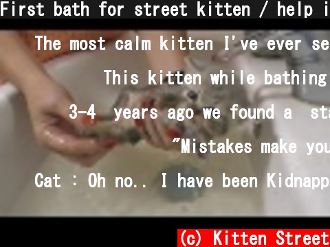 First bath for street kitten / help in our life  (c) Kitten Street