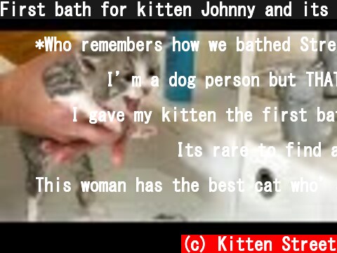 First bath for kitten Johnny and its loud meow  (c) Kitten Street