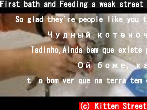 First bath and Feeding a weak street kitten - Whole story  (c) Kitten Street