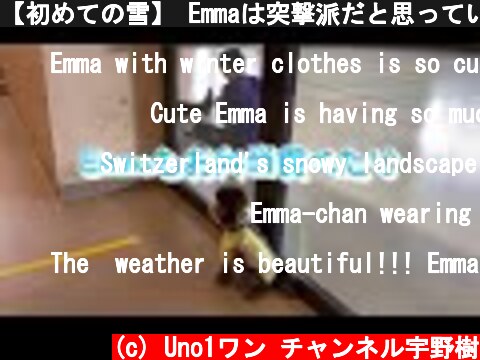【初めての雪】 Emmaは突撃派だと思っていたけど、割とビビリでした。   #トイプードル生活 #宇野昌磨 #宇野樹 #Uno1ワンチャンネル #アスリートと愛犬  (c) Uno1ワン チャンネル宇野樹
