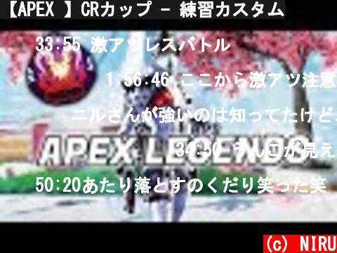【APEX 】CRカップ - 練習カスタム  (c) NIRU