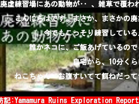 廃虚練習場にあの動物が•• 、雑草で覆われた廃墟ゴルフ練習場、放置されたままのクラブ  (c) サラリーマン山村廃墟探訪記:Yamamura Ruins Exploration Report