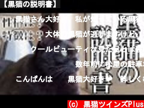 【黒猫の説明書】  (c) 黒猫ツインズPlus