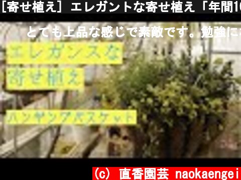 [寄せ植え] エレガントな寄せ植え「年間100個の寄せ植えを作るプロガーデナーが教えるハンギングバスケット」  (c) 直香園芸 naokaengei