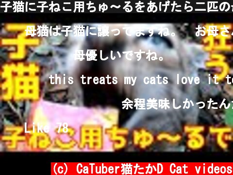 子猫に子ねこ用ちゅ～るをあげたら二匹の母猫を押しのけて狂ったようにがっつく 野良猫 感動猫動画  (c) CaTuber猫たかD Cat videos