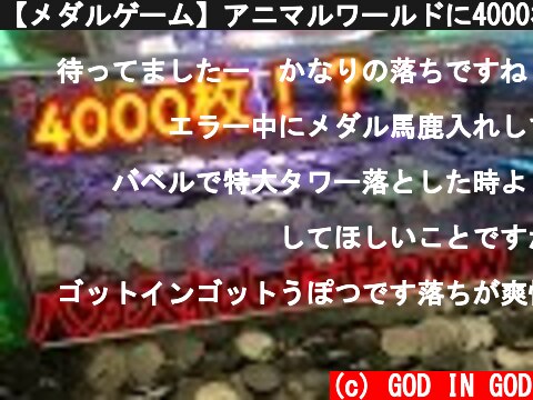 【メダルゲーム】アニマルワールドに4000枚突っ込んだ！！  (c) GOD IN GOD