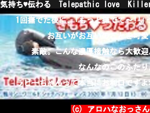 気持ち♥伝わる　Telepathic love  Killer whale performance, Kamogawa Sea World, Japan【2020年1月12日13:00　鴨川シーワール  (c) アロハなおっさん