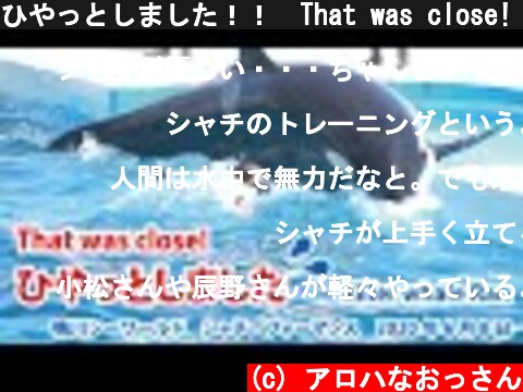ひやっとしました！！　That was close!【2020年6月8日　鴨川シーワールド　シャチパフォーマンス】Kamogawa Sea World, Japan  (c) アロハなおっさん